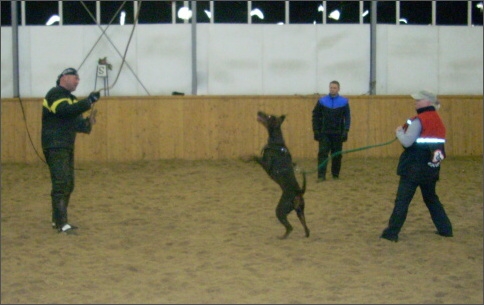 Training in Finland 12/2007